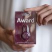 Award светящийся маячок на ошейник — фото 5
