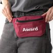 Award поясная сумка — фото 7