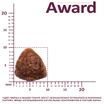 Сухой корм AWARD Sterilized для взрослых стерилизованных кошек с индейкой и курицей с добавлением клюквы и цикория 400г — фото 6
