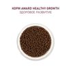Сухой корм AWARD Healthy growth для котят от 1 месяца, беременных и кормящих кошек с индейкой и курицей с добавлением рыбьего жира и семян льна 1,5кг — фото 8