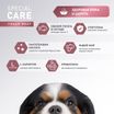Сухой корм AWARD SPECIAL CARE Sensitive Skin&Coat для взрослых собак всех пород для здоровой кожи и шерсти со свежим лососем 2кг — фото 5