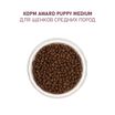 Сухой корм AWARD для щенков от 1 мес, беременных и кормящих сук средних пород с индейкой и курицей с добавлением моркови и черной смородины 2кг — фото 8