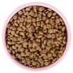 Сухой корм AWARD SPECIAL CARE Sensitive Digestion для взрослых кошек с чувствительным пищеварением со свежим мясом утки 1,5кг — фото 2