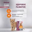 Влажный дополнительный корм AWARD SPECIAL CARE Healthy growth "пюре" для котят от 1 месяца из мяса курицы 100 г — фото 5