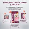 Влажный дополнительный корм AWARD SPECIAL CARE Healthy growth "пюре" для котят от 1 месяца из мяса курицы 100 г — фото 10