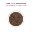 Сухой корм AWARD для щенков от 1 мес, беременных и кормящих сук средних пород с индейкой и курицей с добавлением моркови и черной смородины 12кг — фото 7