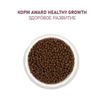 Сухой корм AWARD Healthy growth для котят от 1 месяца, беременных и кормящих кошек с индейкой и курицей с добавлением рыбьего жира и семян льна 10кг — фото 8