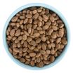 Сухой корм AWARD Monoprotein для взрослых собак всех пород из утки с добавлением яблока и артишока 12кг — фото 3