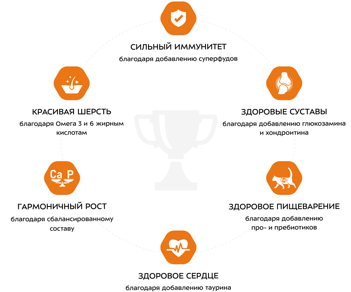 Преимущества кормов Award: иммунитет, шерсть, суставы, рост, пищеварение и сердце