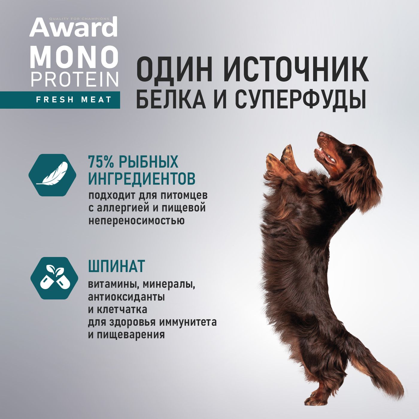 Влажный корм AWARD Monoprotein для взрослых собак паштет из лосося со шпинатом 100г — фото 4
