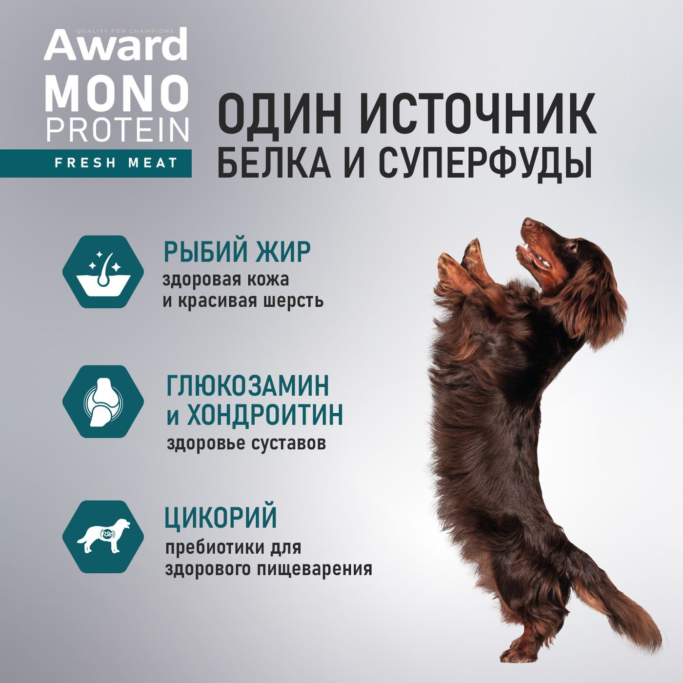 Влажный корм AWARD Monoprotein для взрослых собак паштет из лосося со шпинатом 100г — фото 5