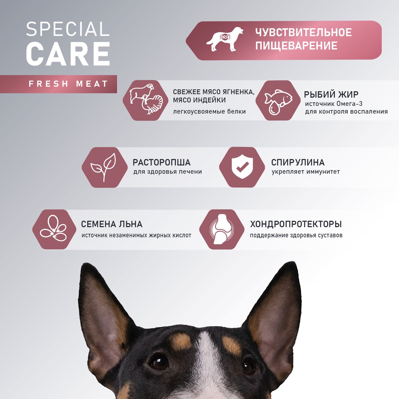 Сухой корм AWARD SPECIAL CARE Sensitive Digestion для взрослых собак всех пород с чувствительным пищеварением со свежим мясом ягненка 2кг — фото 5