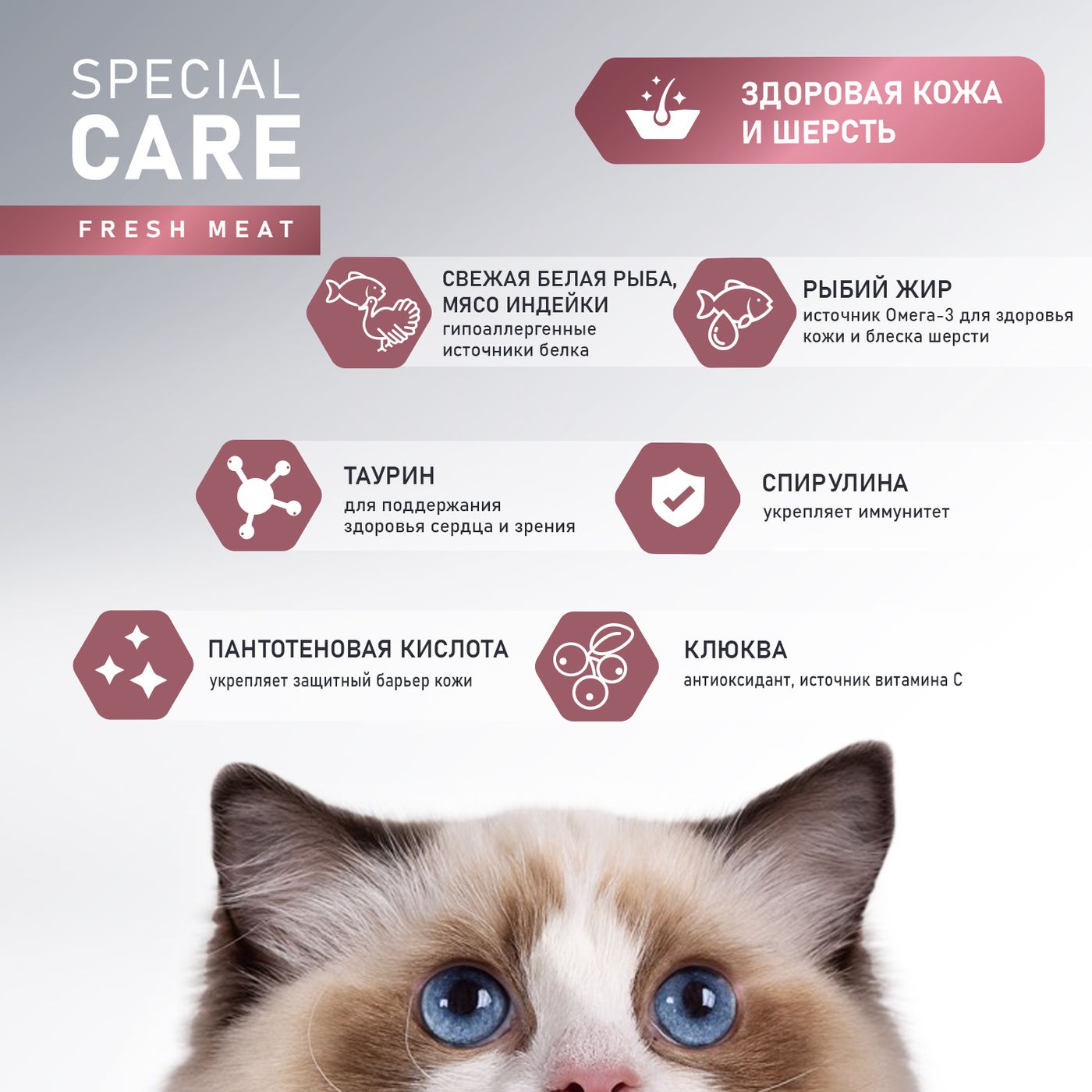 Сухой корм AWARD SPECIAL CARE Sensitive Skin&Coat для взрослых кошек для здоровой кожи и шерсти со свежей белой рыбой 10кг — фото 5