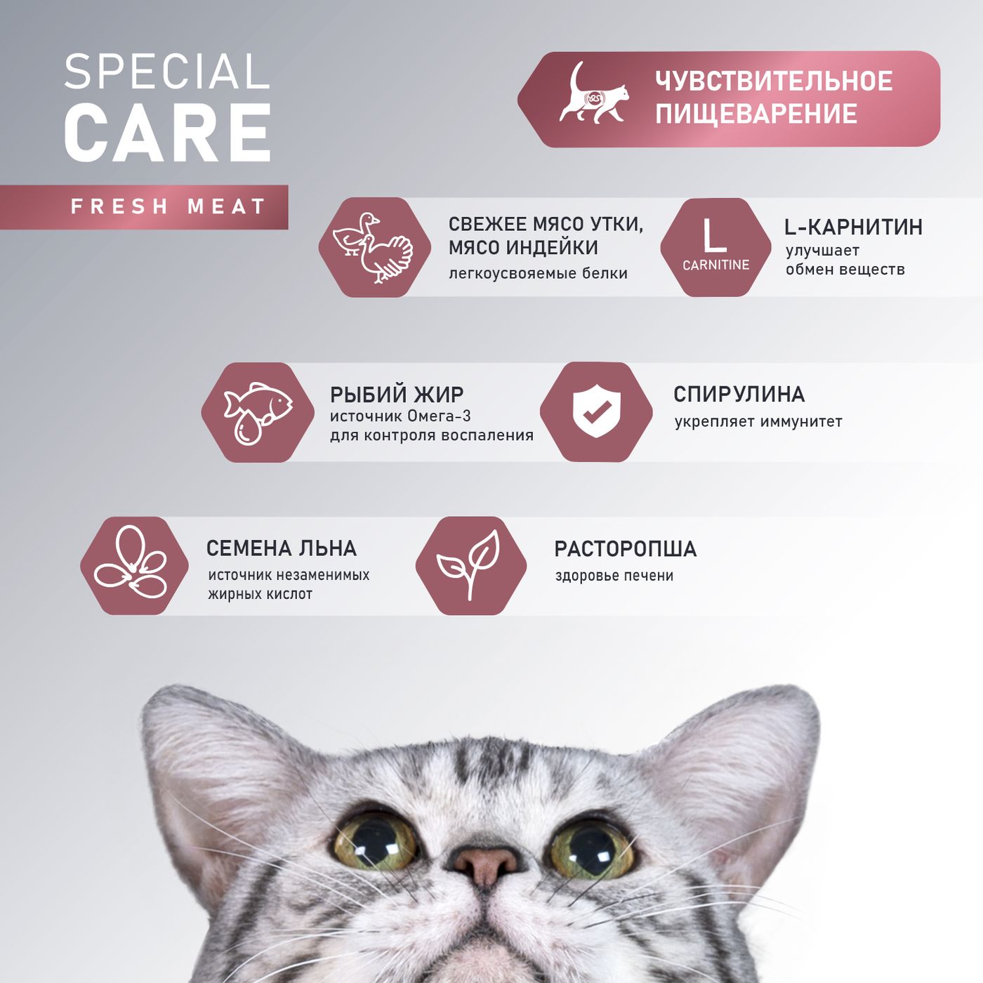 Сухой корм AWARD SPECIAL CARE Sensitive Digestion для взрослых кошек с чувствительным пищеварением со свежим мясом утки 1,5кг — фото 5