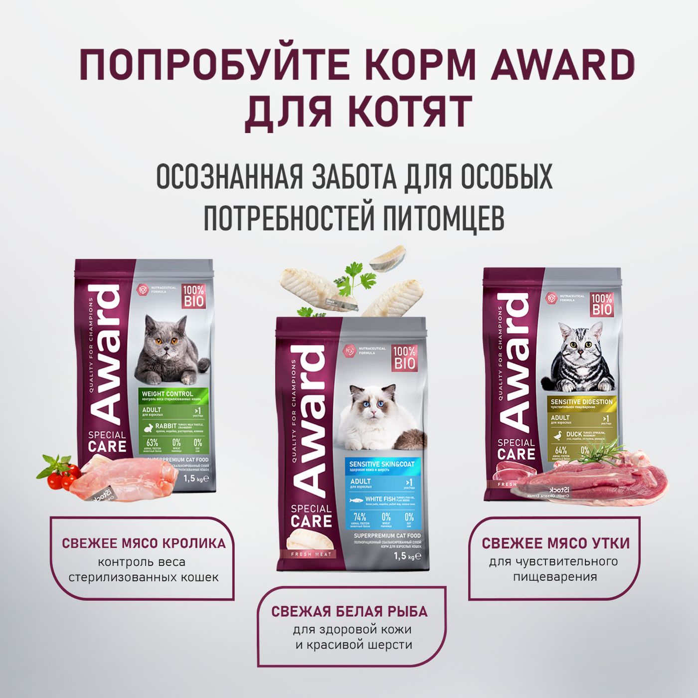 Влажный доп. корм AWARD SPECIAL CARE Active longevity "мясное пюре" для пожилых кошек старше 7 лет для активного долголетия из курицы с говядиной 100г — фото 10