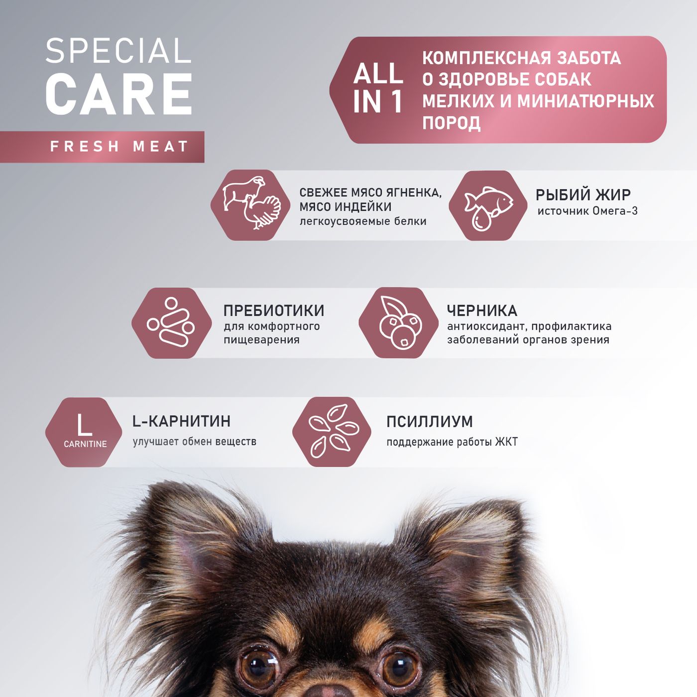 Сухой корм AWARD SPECIAL CARE Toy Breed Support для взрослых собак мелких и миниатюрных пород со свежим мясом ягненка 1,5кг — фото 5