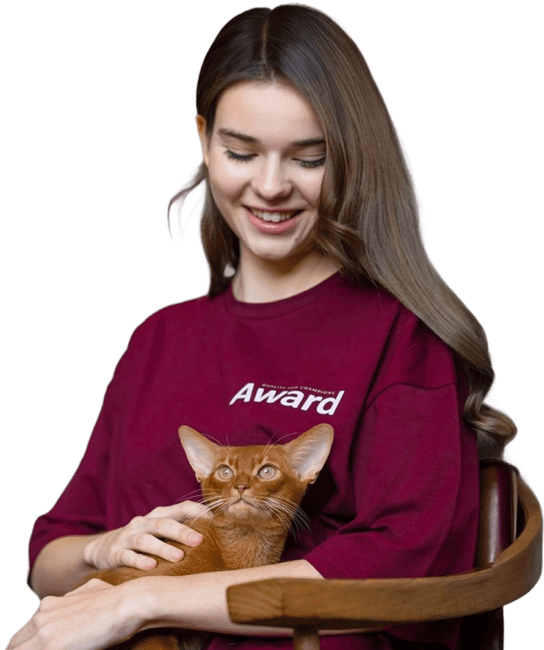 Девушка в футболке Award с абиссинским котёнком